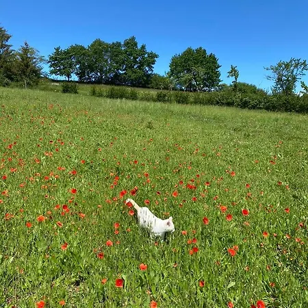 La Vignerie * Boisse (Dordogne)